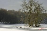 Cjp_2009_01_12_104831 (2).jpg